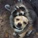 Profile Picture of Larry Kampfer (@larrykampfer) on Pinterest