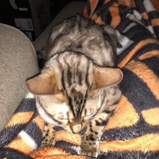 Profile Picture of David Boswell (@david_boswell) on Instagram