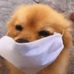 Profile Picture of Manuel Jim (@manuel.jim.14224) on Facebook