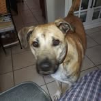 Profile Picture of Lon Davis (@lon.davis.3726) on Facebook