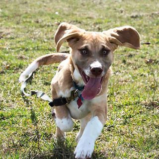 Cooper Schmidt - Facebook Profile Picture of Cooper Schmidt (@cooper.schmidt.3745) on Facebook