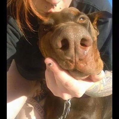 Profile Picture of Lori Muth (@LoriMuth3) on Twitter