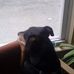 Profile Picture of Lori Stuber (@lori.stuber.102) on Facebook