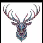 Steven Perkovic - Instagram Profile Picture of Steven Perkovic (@steven.perkovic) on Instagram