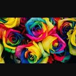 Profile Picture of mojgan_javadizade (@mojgan_javadiz) on Instagram