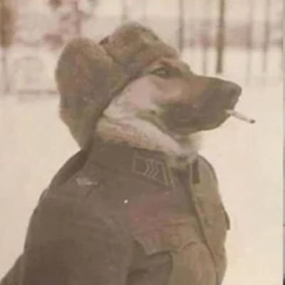 Profile Picture of Adam Hanks (@AdamHanks19) on Twitter