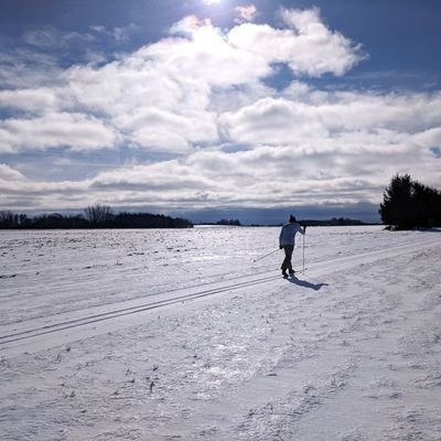 Profile Picture of Stefan Pelkmans (@NassauLeeFarms) on Twitter