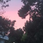 Profile Picture of Bélen Amélia Lima (@belen_952) on Instagram