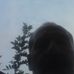 Profile Picture of Mark Bottaz (@mark.bottaz) on Facebook