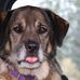 Profile Picture of Sherry Anderson Larsen (@sherry.a.larsen.3) on Facebook