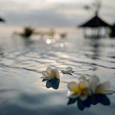 Profile Picture of Joseph Cass Klean (@joseph_klean) on Twitter