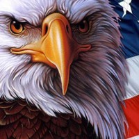 Profile Picture of Paul Quinlan (@paul-quinlan-18) on Quora