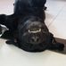 Profile Picture of Buddy Hash Vai da Nada (@buddy.hashvaidanada) on Facebook