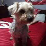 Profile Picture of Chase Sapp (@chase.sapp.891096) on Facebook