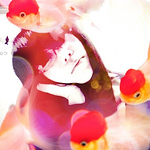 Profile Picture of Ke Wang (@wk0511) on Flickr