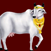 Profile Picture of Mana Crecan (@SureshNayak-oh4im) on Youtube