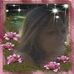 Profile Picture of Shelly Heckman (@shelly.heckman.5) on Facebook