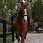 Profile Picture of Kim Hargis (@kim.hargis.5) on Instagram