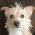 Profile Picture of Beverly Holt (@beverlyanneh) on Instagram