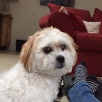 Profile Picture of Jim Simpson (@jimsimpson4535) on Instagram