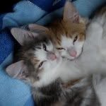 Profile Picture of trisha.edwards (@trisha.edwards) on Instagram