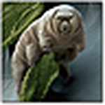 Profile Picture of Alex V Halstead (@Alex Vivante) on Flickr