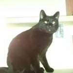 Profile Picture of Brian Harland (@brian.harland1) on Instagram