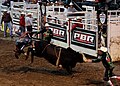 Profile Picture of Professional Bull Riders - Wikipedia, the free …on Wikipedia