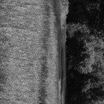 Profile Picture of wixom (@dougbanefulhq) on Instagram