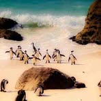 Profile Picture of Tad Everhart (@Tad-Everhart) on Facebook