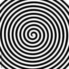 Profile Picture of David Hamburgers (@thedavidhamberg) on Tiktok