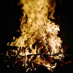 Profile Picture of Jonathan Speer (@j.p.speer) on Instagram