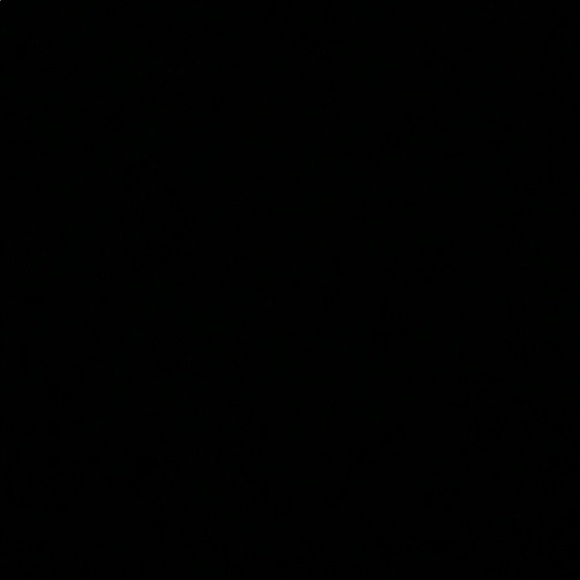 Profile Picture of Charles Huff (@huffcharlie) on Poshmark