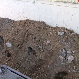 Luis Armando Godinez Cayetano - Twitter Profile Picture of Luis Armando Godinez Cayetano (@GodinezCayetano) on Twitter