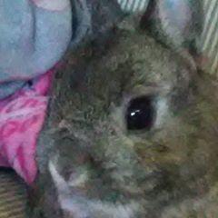 Profile Picture of Zachary Darrow (@zacharydarrow3) on Tiktok