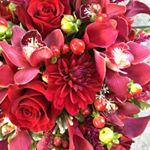 Profile Picture of Mary Beth Buchholz (@freespiritfloral) on Instagram