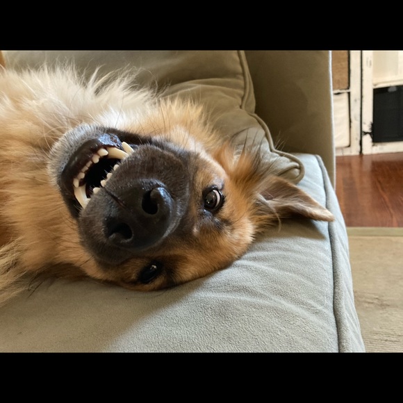 Profile Picture of Marc Wartenberger (@wartenbe) on Poshmark