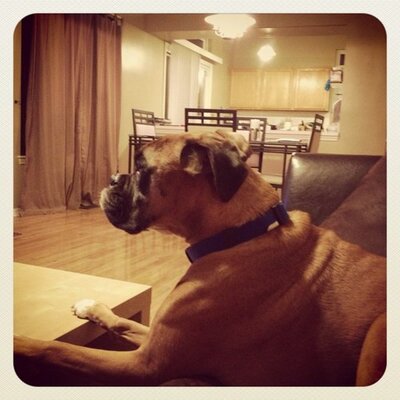 Profile Picture of John LeFager (@JohnLeFager) on Twitter