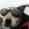 Profile Picture of Randall Beeman (@bohbohb) on Pinterest