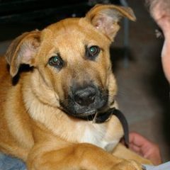 Profile Picture of David Robbie (@david.robbie) on Tiktok