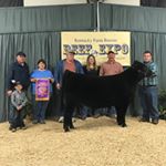 Profile Picture of Bryan Ishmael (@bryan.ishmael) on Instagram