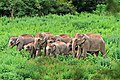 Profile Picture of Kui Buri National Parkon Wikipedia