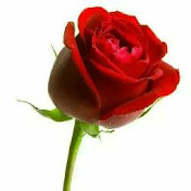 Profile Picture of Amin Abraham Abbas (@aminabrahamabbas251) on Youtube