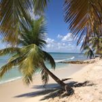 Profile Picture of Nathalie Olivon (@chrisnatoli) on Instagram