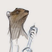 Profile Picture of Kevin Bevil (@kevin-bevil) on Quora