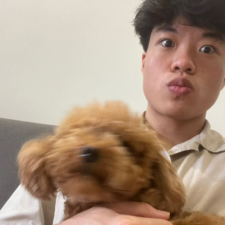 Profile Picture of shawnn (@shawnnntann) on Tiktok