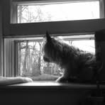 Carrie Jo Larkin Arnett - Facebook Profile Picture of Carrie Jo Larkin Arnett (@carrie.arnett.39) on Facebook