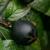 Profile Picture of Dimitry Kuznetsov (@dimitrykuznetsov8943) on Youtube