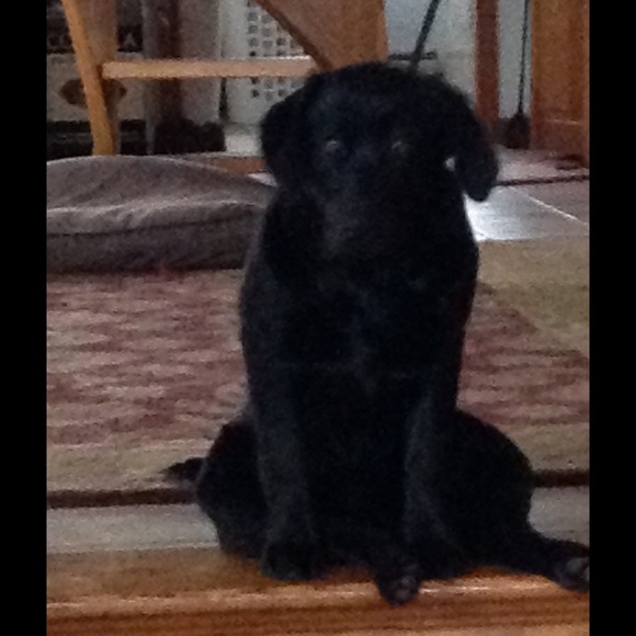 Profile Picture of Jackie Sykas (@jlsykas) on Poshmark