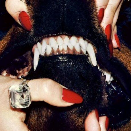 Profile Picture of Lisa Pratt (@wakyracoon) on Tiktok